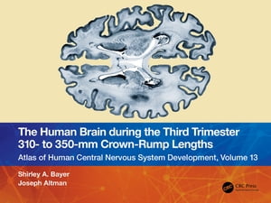 The Human Brain during the Third Trimester 310– to 350–mm Crown-Rump Lengths