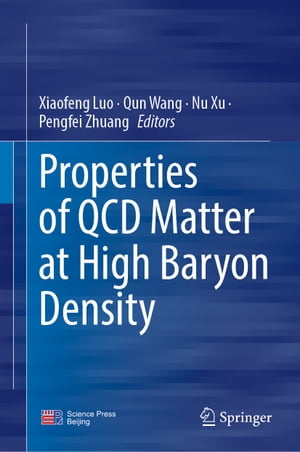 Properties of QCD Matter at High Baryon Density