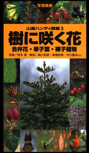 ヤマケイハンディ図鑑5 樹に咲く花 合弁花・単子葉・裸子植物【電子書籍】[ 城川 四郎 ]