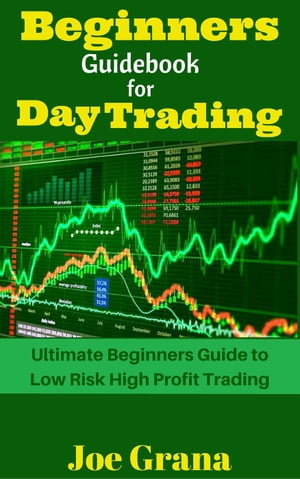 Beginners Guidebook for Day Trading