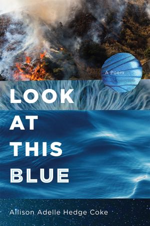 Look at This Blue【電子書籍】[ Allison Adelle Hedge Coke ]