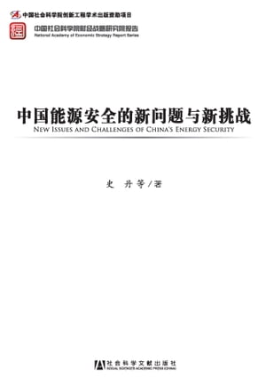 中国能源安全的新问题与新挑战