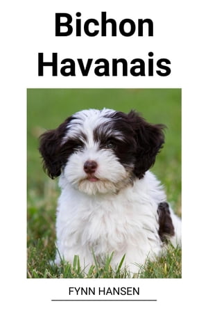 Bichon Havanais