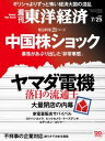 週刊東洋経済 2015年7月25日号【電子書籍】
