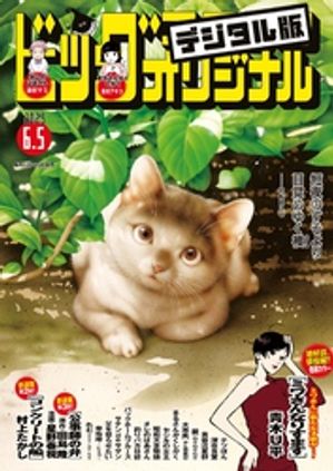 業田良家