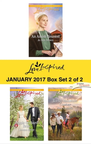 Harlequin Love Inspired January 2017-Box Set 2 of 2