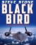 Blackbird: Cold War SpyplanesŻҽҡ[ Steve Stone ]