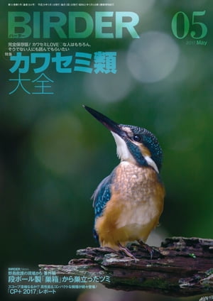 BIRDER2017年5月号