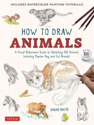 How to Draw Animals