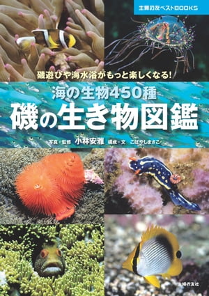 磯の生き物図鑑