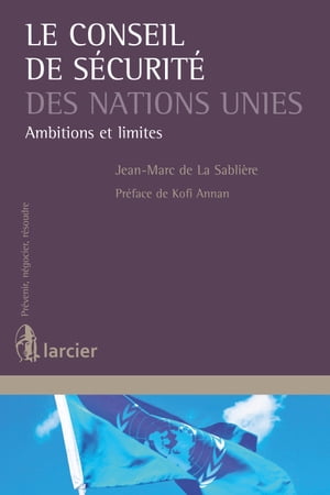 Le Conseil de sécurité des Nations Unies