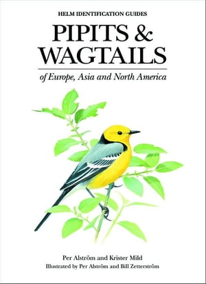 Pipits and Wagtails of Europe, Asia and North America