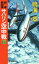 国連航空軍　サハリン空中戦　下