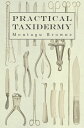 ŷKoboŻҽҥȥ㤨Practical Taxidermy A Manual of Instruction to the Amateur in Collecting, Preserving, and Setting up Natural History Specimens of All Kinds. To Which is Added a Chapter Upon the Pictorial Arrangement of MuseumsŻҽҡ[ Montagu Browne ]פβǤʤ748ߤˤʤޤ