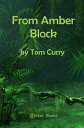 From Amber Block【電子書籍】[ Tom Curry ]