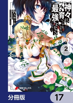 神々に育てられしもの、最強となる【分冊版】　17