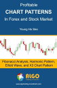 Profitable Chart Patterns in Forex and Stock Market: Fibonacci Analysis, Harmonic Pattern, Elliott Wave, and X3 Chart Pattern【電子書籍】 Young Ho Seo