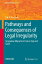 Pathways and Consequences of Legal Irregularity