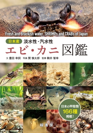 日本産 淡水性・汽水性エビ・カニ図鑑【電子書籍】[ 豊田幸詞 ]