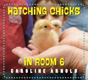 Hatching Chicks in Room 6Żҽҡ[ Caroline Arnold ]