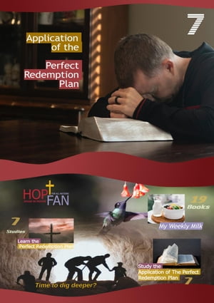 Application of the Perfect Redemption Plan 7