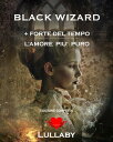 Black Wizard Forte del tempo - L 039 amore pi puro【電子書籍】 CHIARA ROSTAGNO