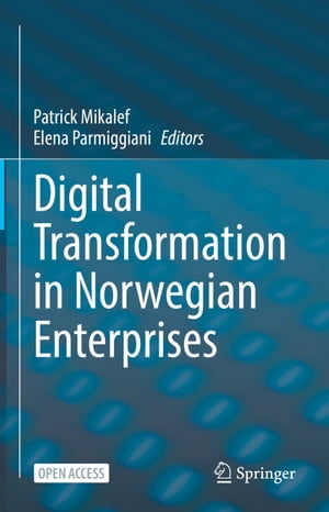 Digital Transformation in Norwegian Enterprises
