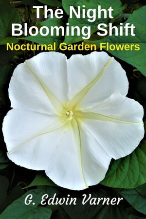 The Night-Blooming Shift: Nocturnal Garden Flowers