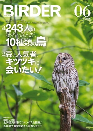 BIRDER2014年6月号