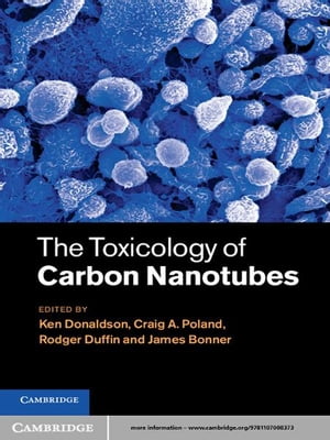 The Toxicology of Carbon Nanotubes