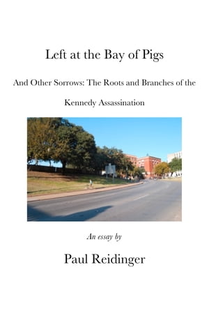 Left at the Bay of Pigs and Other Sorrows: The Roots and Branches of the Kennedy Assassination