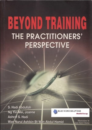 Beyond Training - The Practitioners' Perspective