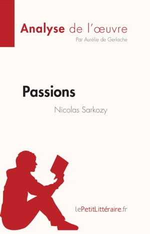 Passions de Nicolas Sarkozy (Analyse de l'oeuvre)