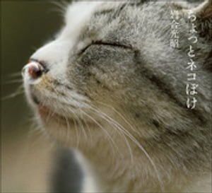 ちょっとネコぼけ　岩合光昭写真集【電子書籍】のサムネイル
