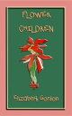 FLOWER CHILDREN - an illustrated children's book about flowers Over 80 fun color...