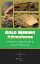 Gold Mining Adventures: A Step-by-Step Guide to Unveil Treasures