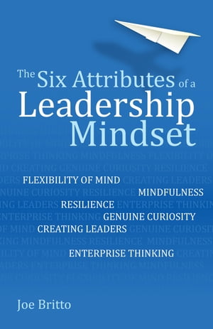 Six Attributes of a Leadership Mindset Flexibility of mind, mindfulness, resilience, genuine curiosity, creating leaders, enterprise thinking