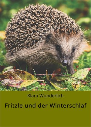 Fritzle und der WinterschlafŻҽҡ[ Klara Wunderlich ]