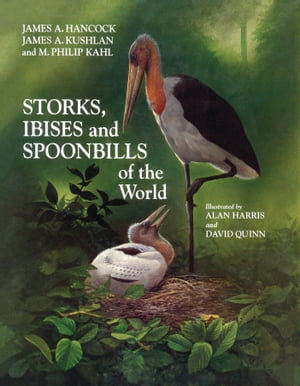 Storks, Ibises and Spoonbills of the World【電子書籍】[ James Hancock ]