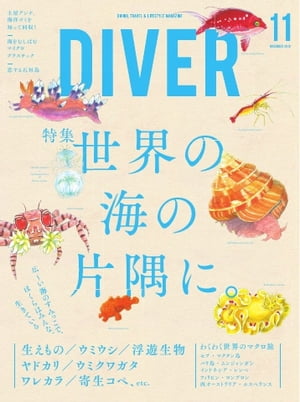 DIVER 2019年11月号