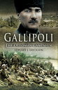 Gallipoli The Ottoman Campaign