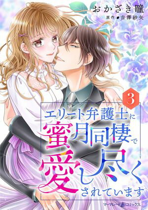エリート弁護士に蜜月同棲で愛し尽くされています【分冊版】3話【電子書籍】[ おかざき瞳 ]