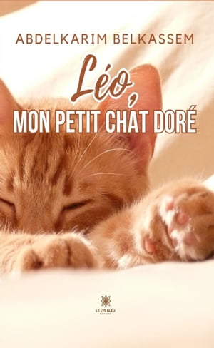 Léo, mon petit chat doré