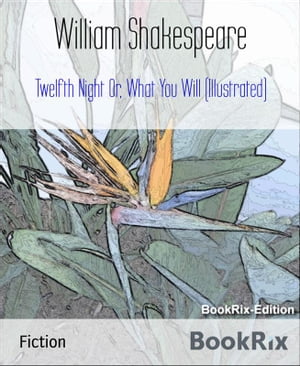 Twelfth Night Or, What You Will (Illustrated)