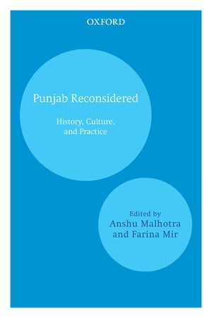 Punjab Reconsidered