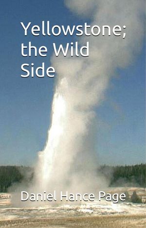 Yellowstone; the Wild SideŻҽҡ[ Daniel Hance Page ]