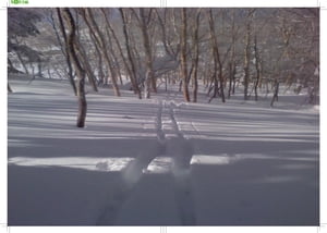 複素関数論 1【電子書籍】[ 宮川 幸隆 ]