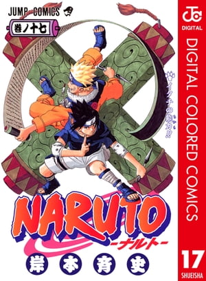 NARUTOーナルトー カラー版 17