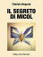 Il segreto di MicolŻҽҡ[ Fabrizio Negroni ]