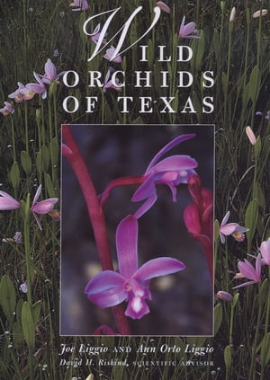 Wild Orchids of Texas